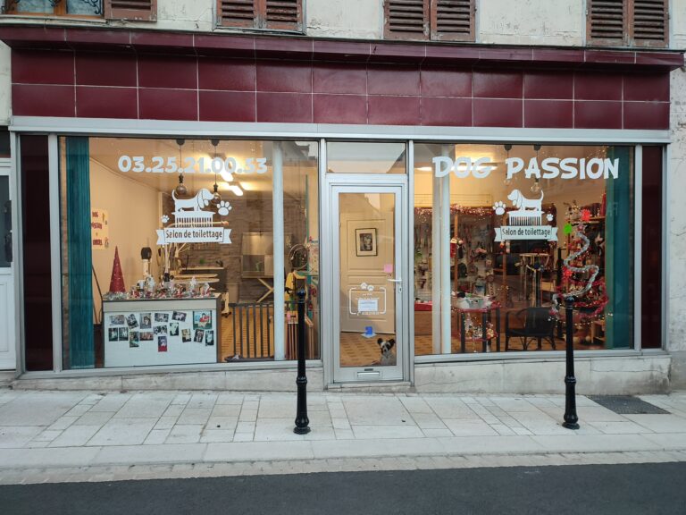 Lire la suite à propos de l’article Dog Passion