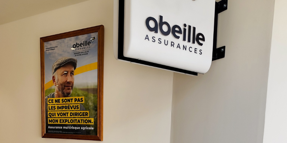 assureur nogent-sur-seine abeille assurances