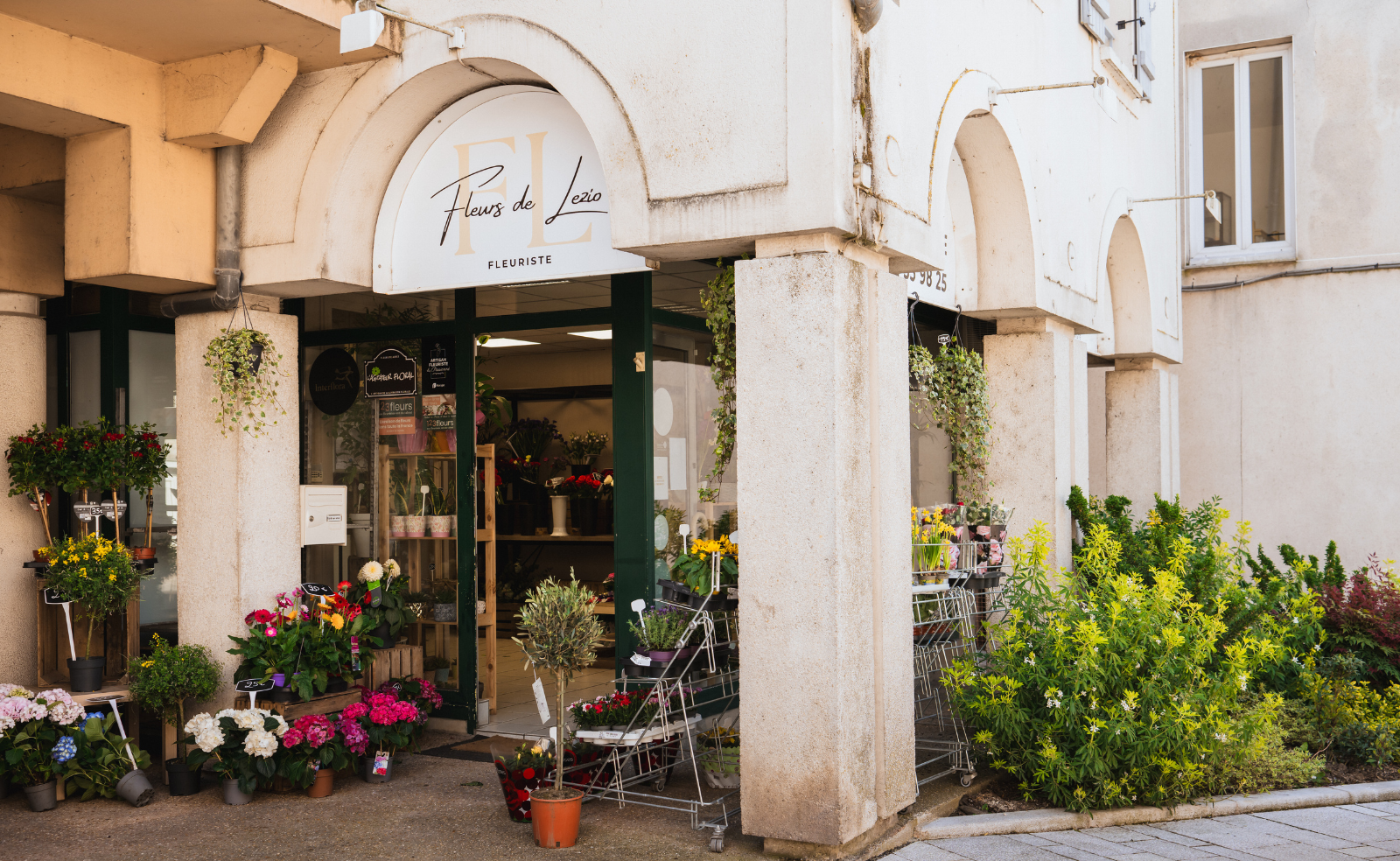 fleuriste à nogent sur seine